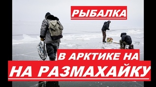 Рыбалка в Арктике на РАЗМАХАЙКУ | ВОТ ЭТО КОРЮХА | Удочка гнётся не подетски.