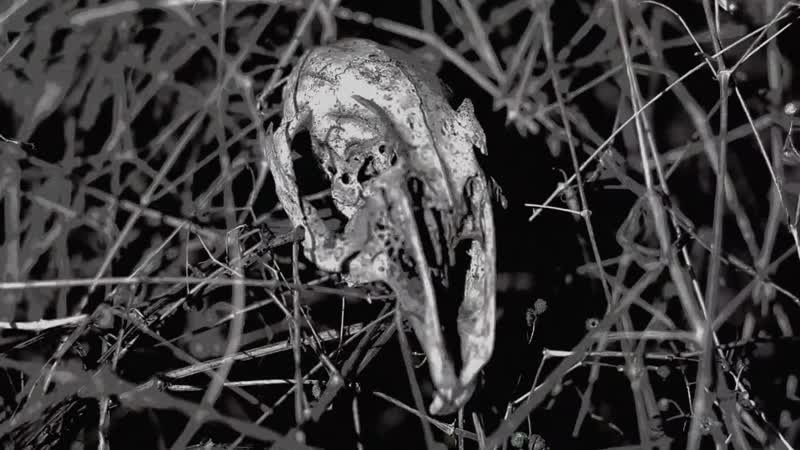The Infernal Sea Negotium Crucis Full