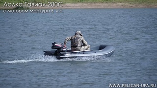 Лодка Гавиал 280С с мотором Меркури 5 л с