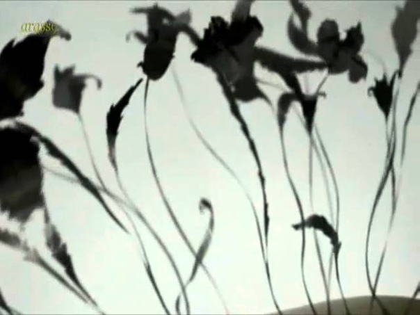 Massive Attack ft. Elizabeth Fraser Silent