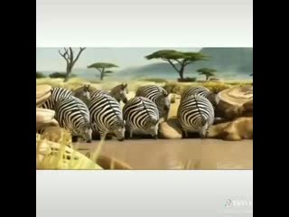 rossia_zvezda_20200406_2.mp4