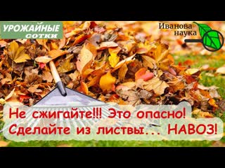 Превращаем ЛИСТВУ, СОЛОМУ и ОПИЛКИ в НАВОЗ. Преводим минеральное в органическое!