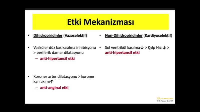 Kardiyovasküler Sistem a1 blokörler ve kalsiyum kanal blokörleri