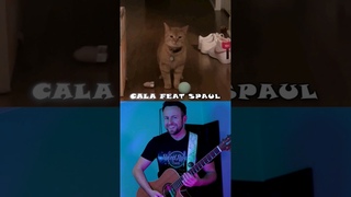 I go meow version 2! #shorts #singingcat