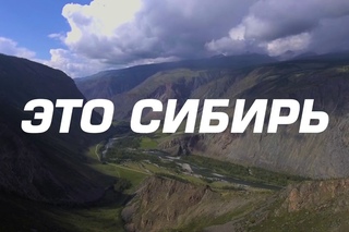 Siberian NutroGunz, AminoVulf ADs