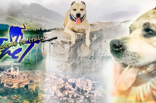WELCOME TO ITALY TRET /// BENVENUTI IN ITALIA TRET