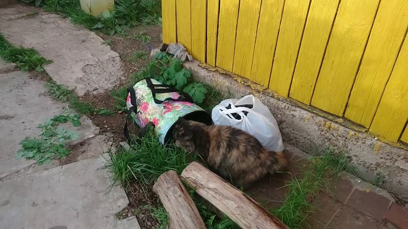 Выходные с семьей на