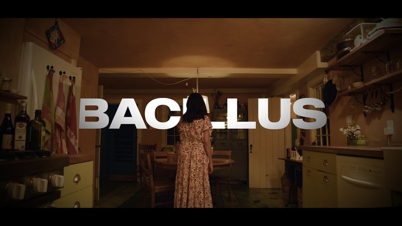 Bacillus Festival