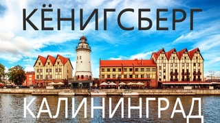 Калининград. Перелет Москва-Калининград. Гостиница Турист Калининград. Ресторан Базилик Калининград.